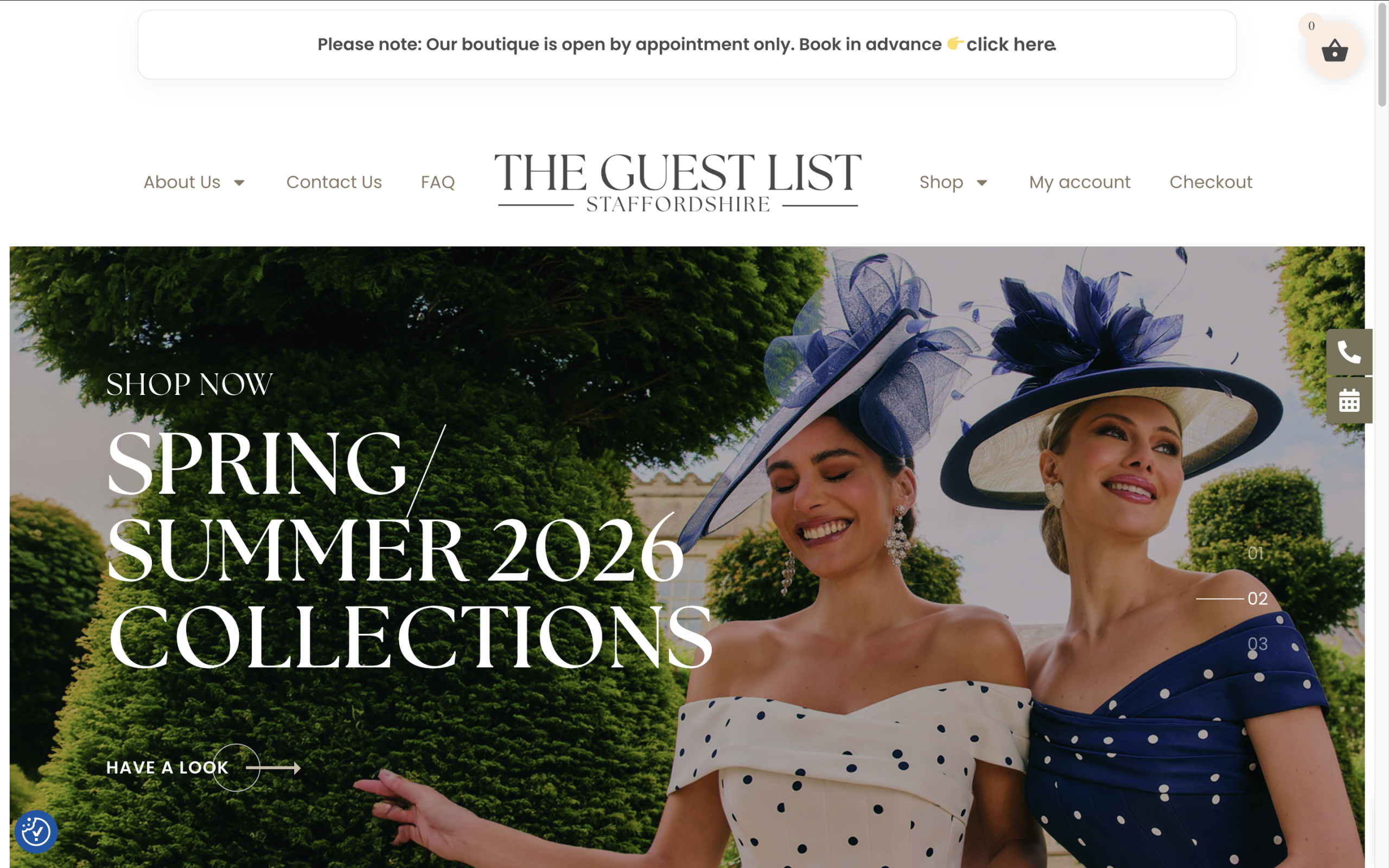 Recent Website Project