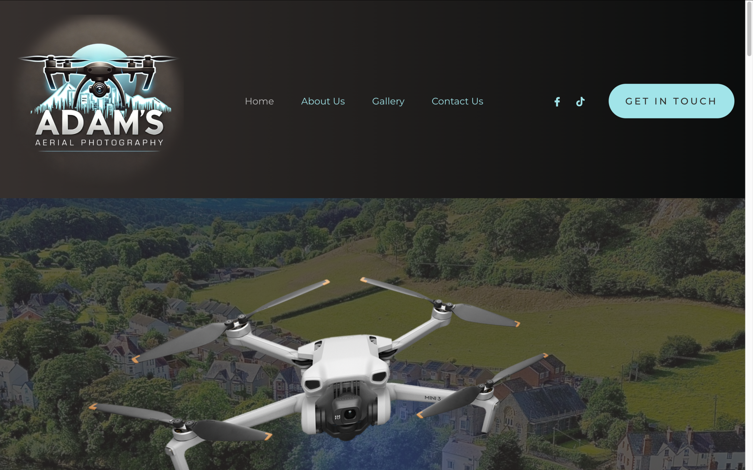 Recent Website Project